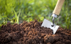 خاک مناسب برای رشد گیاهان