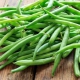 آیا خوردن لوبیا سبز برای شما مفید است