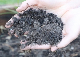 بهبود کیفیت خاک رس