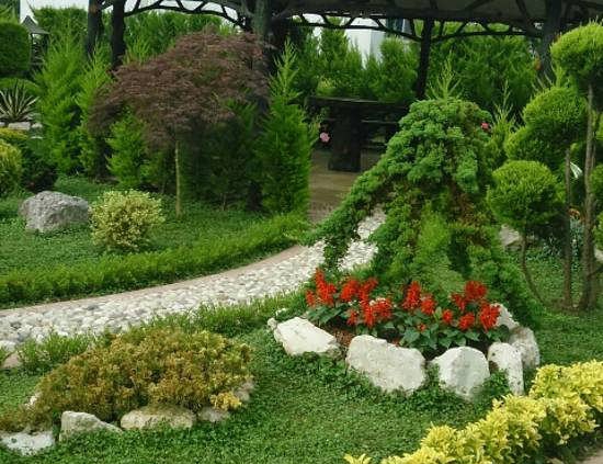 چند راه برای تبدیل باغ خود به بهشت